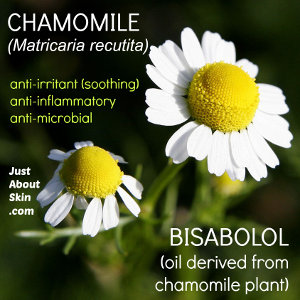 Chamomile Bisabolol 300px
