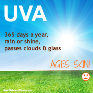 UVA Facts