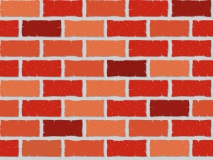 Skin Barrier Function is Like a Brick Wall