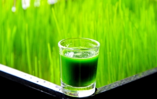 Antioxidants for Skin - Wheatgrass Juice
