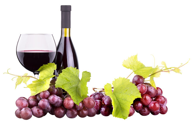 Grape Seed & Resveratrol in Skin Care Products