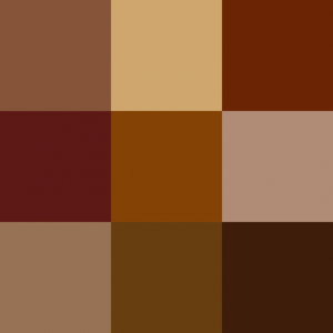 Shades of Brown (Pigmentation)