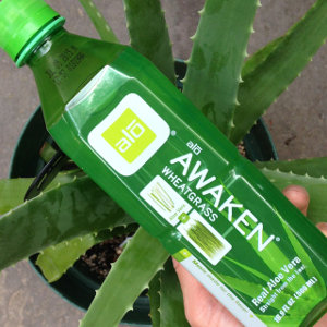 Aloe Drink 300px