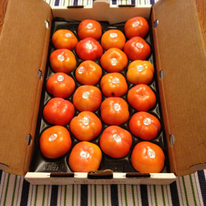 Persimmons In A Box 300px