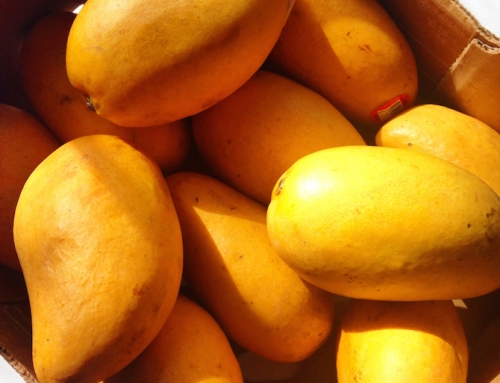 Mangoes, My Favorite Vitamin A Fruit