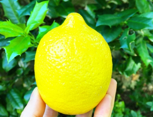 Why Lemon Juice On Skin Is A Bad Idea