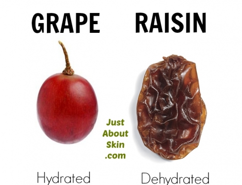Would You Rather Be The GRAPE Or RAISIN?