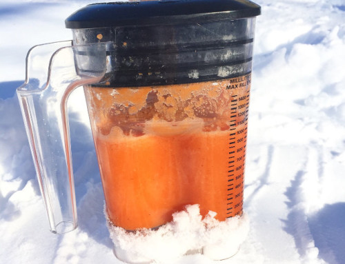 Blizzard Juice – Antioxidize Your Skin More In Snowy Conditions
